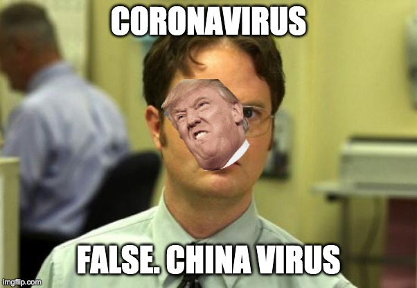 Dwight Schrute Meme | CORONAVIRUS; FALSE. CHINA VIRUS | image tagged in memes,dwight schrute | made w/ Imgflip meme maker