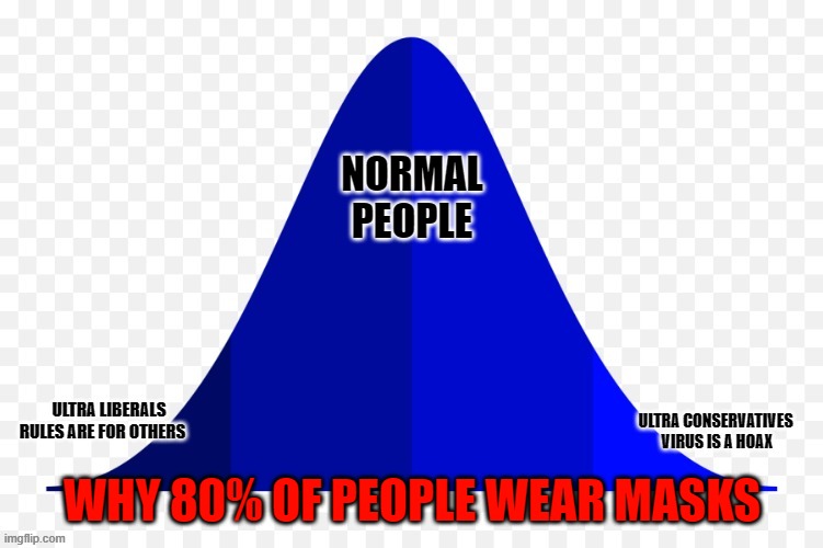 Masks | NORMAL
PEOPLE; WHY 80% OF PEOPLE WEAR MASKS | image tagged in covid-19,covidiots | made w/ Imgflip meme maker