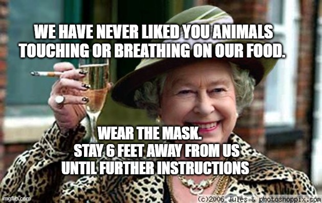 Queen Elizabeth | WE HAVE NEVER LIKED YOU ANIMALS TOUCHING OR BREATHING ON OUR FOOD. WEAR THE MASK.      STAY 6 FEET AWAY FROM US UNTIL FURTHER INSTRUCTIONS | image tagged in queen elizabeth | made w/ Imgflip meme maker