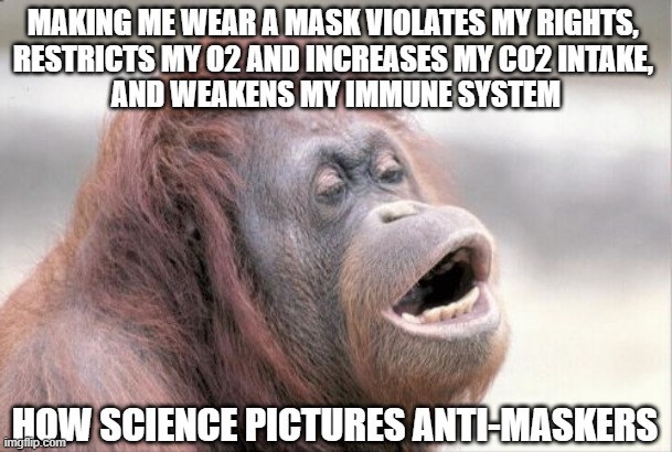 What Does An Anti-Masker Look Like? | MAKING ME WEAR A MASK VIOLATES MY RIGHTS, 
RESTRICTS MY O2 AND INCREASES MY CO2 INTAKE, 
AND WEAKENS MY IMMUNE SYSTEM; HOW SCIENCE PICTURES ANTI-MASKERS | image tagged in memes,monkey ooh,covid-19 | made w/ Imgflip meme maker