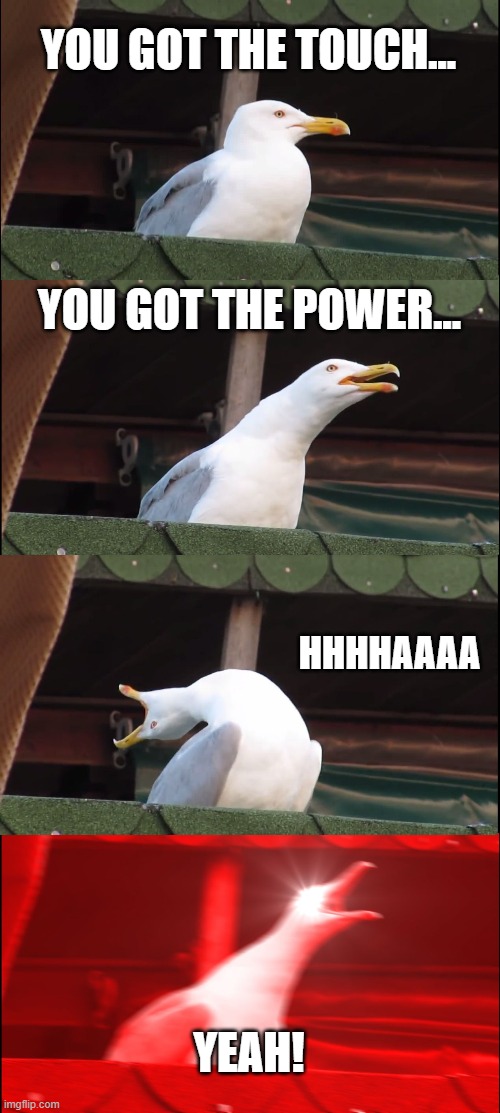 Inhaling Seagull Meme |  YOU GOT THE TOUCH... YOU GOT THE POWER... HHHHAAAA; YEAH! | image tagged in memes,inhaling seagull | made w/ Imgflip meme maker