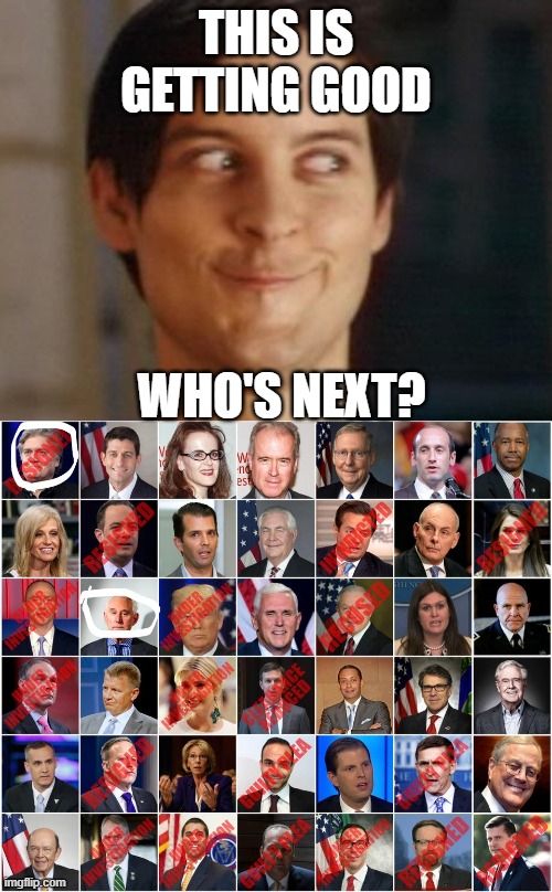 Trump's Swamp | THIS IS GETTING GOOD; WHO'S NEXT? | image tagged in memes,spiderman peter parker,donald trump,drain the swamp | made w/ Imgflip meme maker