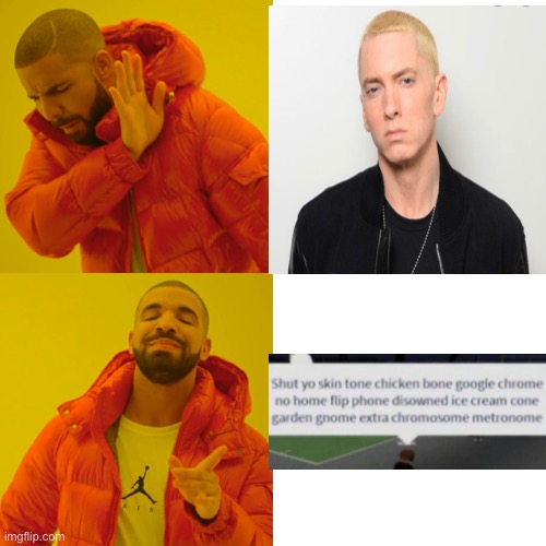 The rapper eminem is afraid to diss | image tagged in memes,drake hotline bling | made w/ Imgflip meme maker
