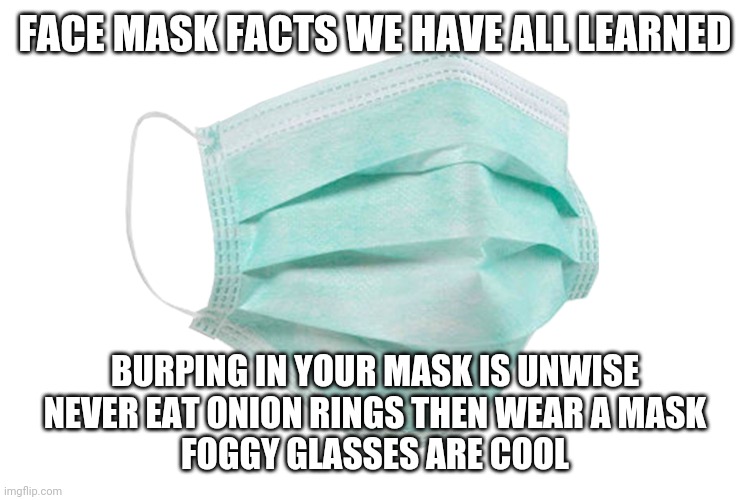 Face mask | FACE MASK FACTS WE HAVE ALL LEARNED; BURPING IN YOUR MASK IS UNWISE
NEVER EAT ONION RINGS THEN WEAR A MASK
FOGGY GLASSES ARE COOL | image tagged in face mask | made w/ Imgflip meme maker