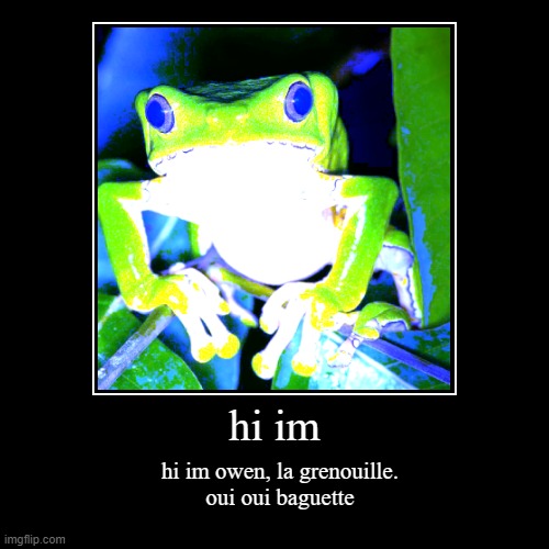 im taking french this year | hi im | hi im owen, la grenouille.
oui oui baguette | image tagged in funny,frogs,animals,french,2020,memes | made w/ Imgflip demotivational maker