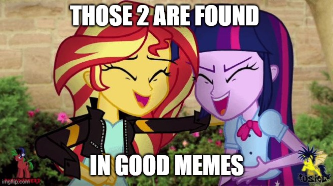 I put this in the wrong stream | THOSE 2 ARE FOUND; IN GOOD MEMES | image tagged in sunset and twilight laugh at you | made w/ Imgflip meme maker