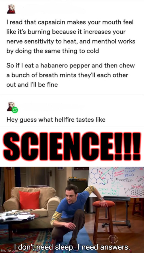 I laughed so hard when I read that, and had to share it. | SCIENCE!!! | image tagged in i don't need sleep i need answers,memes,science,peppers | made w/ Imgflip meme maker