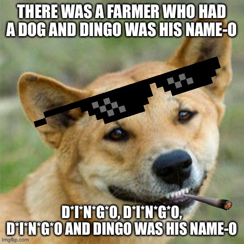 Dingo was his name-o | image tagged in funny,stupid,dingo | made w/ Imgflip meme maker