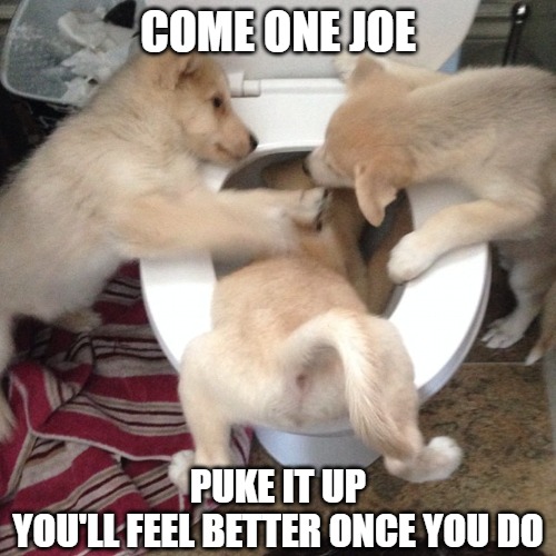 Sometimes dogs party too hard | COME ONE JOE; PUKE IT UP
YOU'LL FEEL BETTER ONCE YOU DO | image tagged in dogs,memes,fun,funny,2020,party | made w/ Imgflip meme maker