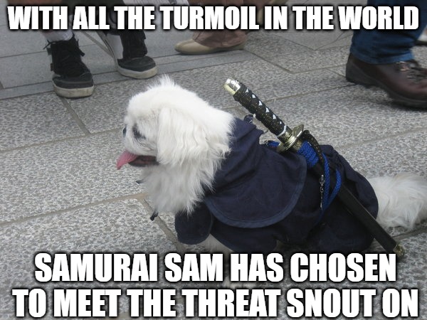 Samurai Sam comes out of retirement | WITH ALL THE TURMOIL IN THE WORLD; SAMURAI SAM HAS CHOSEN TO MEET THE THREAT SNOUT ON | image tagged in dogs,samurai,memes,fun,funny,2020 | made w/ Imgflip meme maker