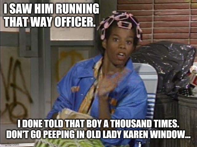 Black "Karen" | I SAW HIM RUNNING THAT WAY OFFICER. I DONE TOLD THAT BOY A THOUSAND TIMES. DON'T GO PEEPING IN OLD LADY KAREN WINDOW... | image tagged in benita ain't one to gossip | made w/ Imgflip meme maker