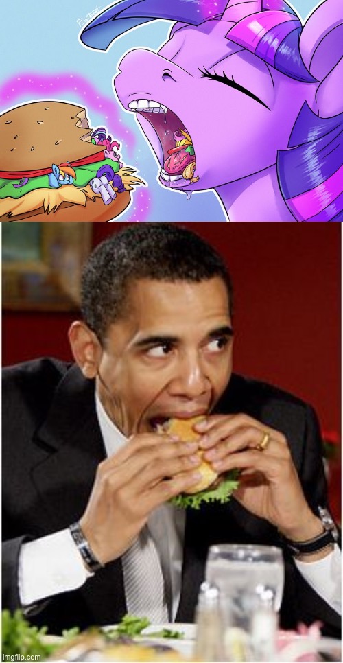 ok this is getting weird | image tagged in mlp hamburger,obama hamburger,hamburger,excuse me wtf,weird,wut | made w/ Imgflip meme maker
