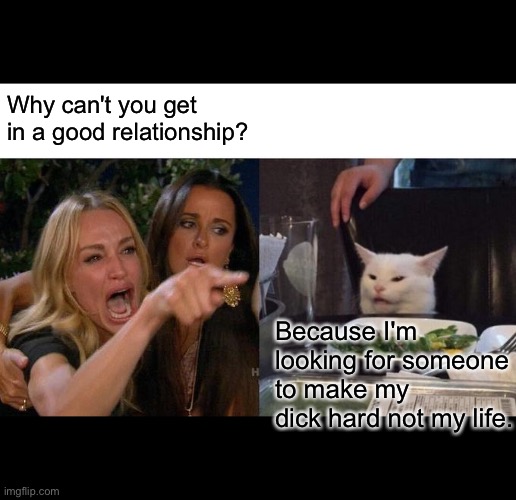 Woman yelling at cat | Why can't you get in a good relationship? Because I'm looking for someone to make my dick hard not my life. | image tagged in memes,woman yelling at cat | made w/ Imgflip meme maker