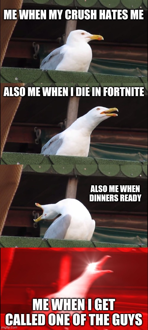 Inhaling Seagull Meme | ME WHEN MY CRUSH HATES ME; ALSO ME WHEN I DIE IN FORTNITE; ALSO ME WHEN DINNERS READY; ME WHEN I GET CALLED ONE OF THE GUYS | image tagged in memes,inhaling seagull | made w/ Imgflip meme maker