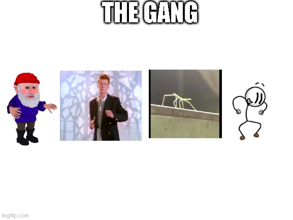 the gangg | THE GANG | image tagged in blank white template,distraction,rickroll,gnomed,gnome,stickbug | made w/ Imgflip meme maker