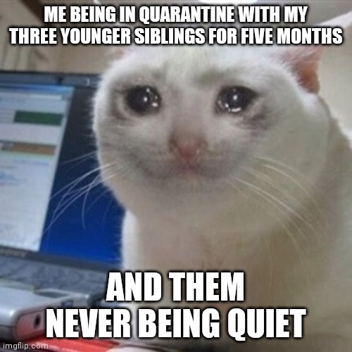 Crying cat | ME BEING IN QUARANTINE WITH MY THREE YOUNGER SIBLINGS FOR FIVE MONTHS; AND THEM NEVER BEING QUIET | image tagged in crying cat | made w/ Imgflip meme maker