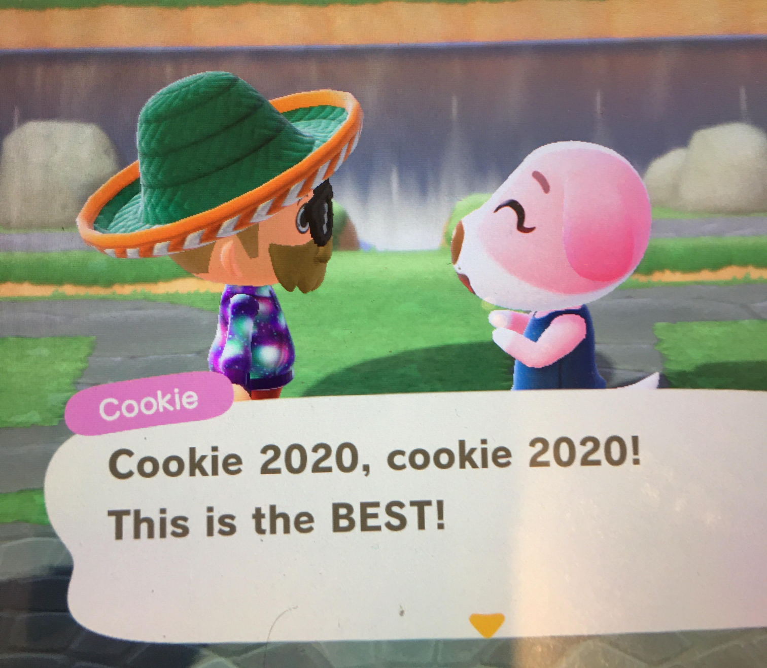 cookie 2020 Blank Meme Template