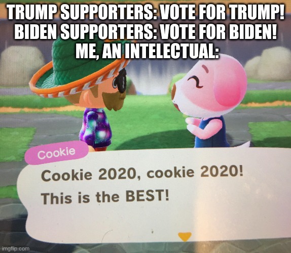 president puppy in animal crossing, and yes, this is from my island | TRUMP SUPPORTERS: VOTE FOR TRUMP!
BIDEN SUPPORTERS: VOTE FOR BIDEN!
 ME, AN INTELECTUAL: | image tagged in cookie 2020,president,election | made w/ Imgflip meme maker