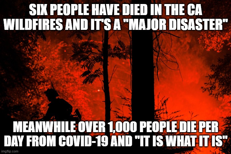 Covid-19 Wildfire | SIX PEOPLE HAVE DIED IN THE CA WILDFIRES AND IT'S A "MAJOR DISASTER"; MEANWHILE OVER 1,000 PEOPLE DIE PER DAY FROM COVID-19 AND "IT IS WHAT IT IS" | image tagged in covid-19,coronavirus,wildfires,ca wildfires,pandemic | made w/ Imgflip meme maker