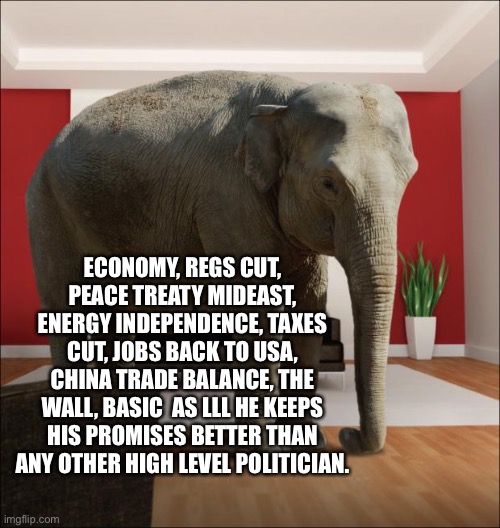 Elephant In The Room | ECONOMY, REGS CUT, PEACE TREATY MIDEAST, ENERGY INDEPENDENCE, TAXES CUT, JOBS BACK TO USA, CHINA TRADE BALANCE, THE WALL, BASIC  AS LLL HE K | image tagged in elephant in the room | made w/ Imgflip meme maker