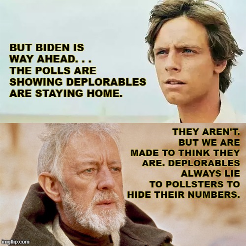 Obi-wan and Luke | THEY AREN'T. BUT WE ARE MADE TO THINK THEY  ARE. DEPLORABLES ALWAYS LIE TO POLLSTERS TO HIDE THEIR NUMBERS. BUT BIDEN IS WAY AHEAD. . . THE POLLS ARE SHOWING DEPLORABLES ARE STAYING HOME. | image tagged in obi-wan and luke | made w/ Imgflip meme maker