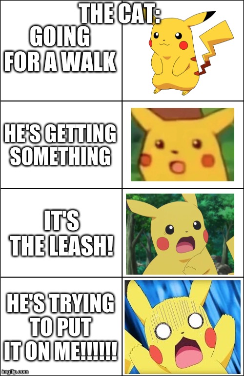 Horror Pikachu | GOING FOR A WALK HE'S GETTING SOMETHING IT'S THE LEASH! HE'S TRYING TO PUT IT ON ME!!!!!! THE CAT: | image tagged in horror pikachu | made w/ Imgflip meme maker