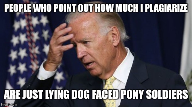Joe Biden worries | PEOPLE WHO POINT OUT HOW MUCH I PLAGIARIZE ARE JUST LYING DOG FACED PONY SOLDIERS | image tagged in joe biden worries | made w/ Imgflip meme maker