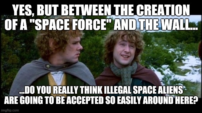 pippin second breakfast | YES, BUT BETWEEN THE CREATION OF A "SPACE FORCE" AND THE WALL... ...DO YOU REALLY THINK ILLEGAL SPACE ALIENS ARE GOING TO BE ACCEPTED SO EAS | image tagged in pippin second breakfast | made w/ Imgflip meme maker