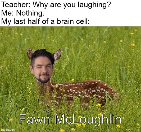 F a w n   M c L o u g h l i n | Teacher: Why are you laughing?
Me: Nothing.
My last half of a brain cell:; Fawn McLoughlin | image tagged in jacksepticeyememes,memes | made w/ Imgflip meme maker