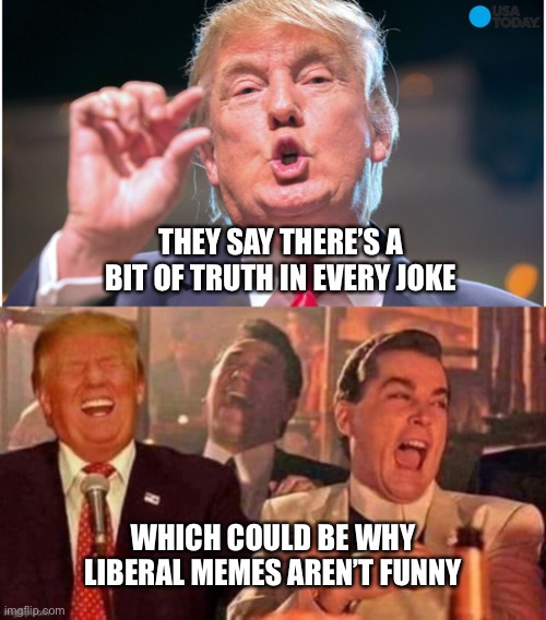 Liberals can’t meme | THEY SAY THERE’S A BIT OF TRUTH IN EVERY JOKE; WHICH COULD BE WHY LIBERAL MEMES AREN’T FUNNY | image tagged in trump,liberals,liberal logic,funny not funny,political meme,so true memes | made w/ Imgflip meme maker