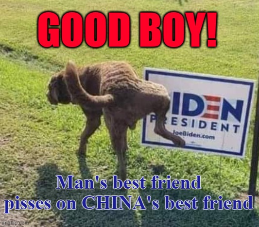 Dog's are Mankinds best friend. | GOOD BOY! Man's best friend pisses on CHINA's best friend | image tagged in dog biden,mans best friend,dog pisses on joe,dog pisses,good boy | made w/ Imgflip meme maker