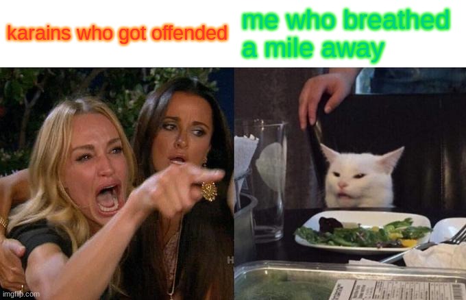 this be true | karains who got offended; me who breathed a mile away | image tagged in memes,woman yelling at cat | made w/ Imgflip meme maker