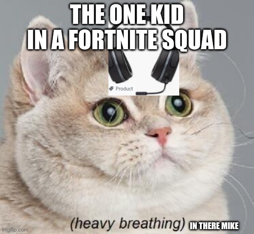 true boi | THE ONE KID IN A FORTNITE SQUAD; IN THERE MIKE | image tagged in memes,heavy breathing cat | made w/ Imgflip meme maker
