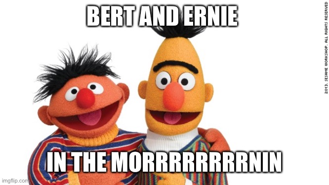 Yw community fans | BERT AND ERNIE; IN THE MORRRRRRRRNIN | image tagged in bert and ernie,community | made w/ Imgflip meme maker