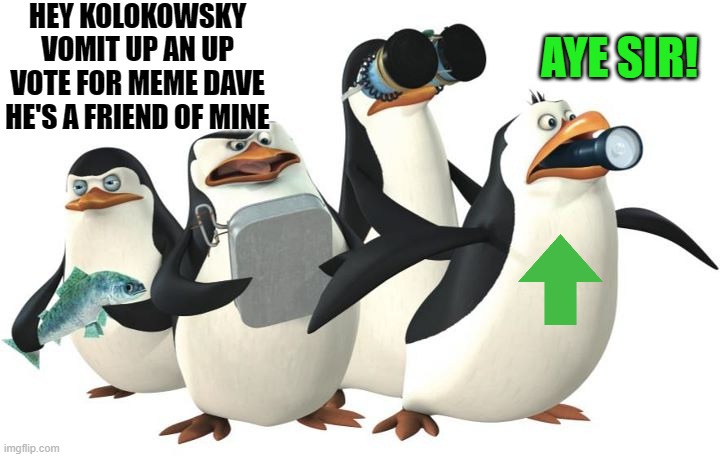 penquines | HEY KOLOKOWSKY VOMIT UP AN UP VOTE FOR MEME DAVE HE'S A FRIEND OF MINE AYE SIR! | image tagged in penquines | made w/ Imgflip meme maker