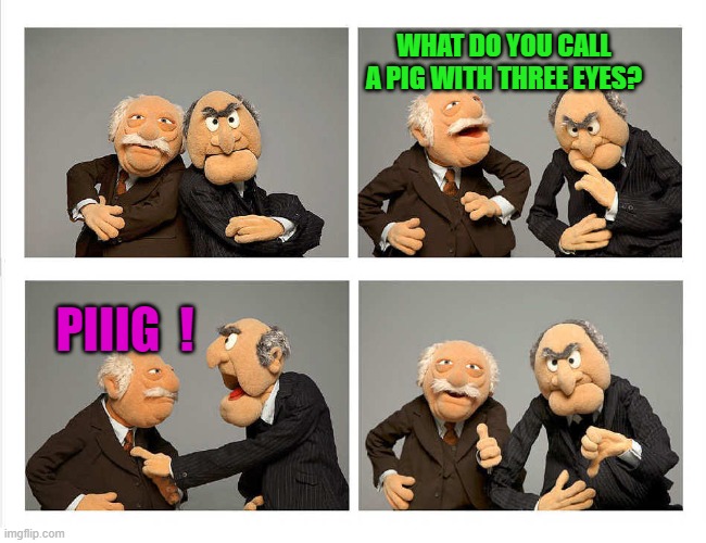 joke | WHAT DO YOU CALL A PIG WITH THREE EYES? PIIIG  ! | image tagged in four panel,piiig | made w/ Imgflip meme maker
