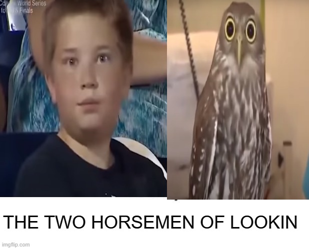 THE TWO HORSEMEN OF LOOKIN | image tagged in funny | made w/ Imgflip meme maker