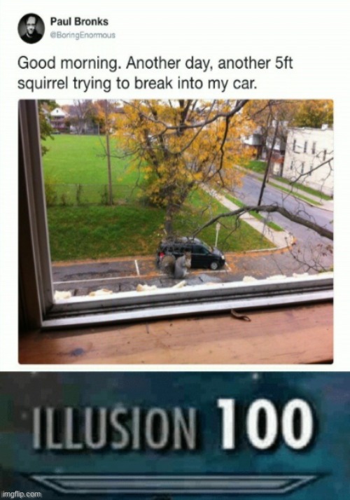 Illusion 100 | image tagged in funny,fun,memes | made w/ Imgflip meme maker