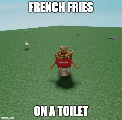 idk i was bored | FRENCH FRIES; ON A TOILET | image tagged in french fries on a toilet | made w/ Imgflip meme maker