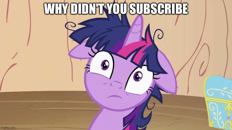 Messy Twilight Sparkle | WHY DIDN'T YOU SUBSCRIBE | image tagged in messy twilight sparkle | made w/ Imgflip meme maker
