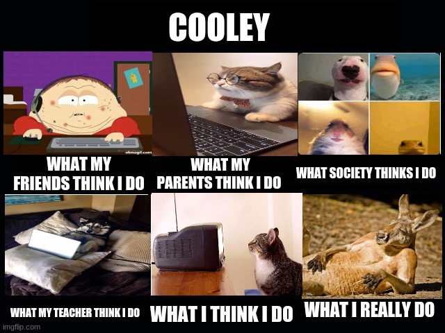 What my friends think I do | COOLEY; WHAT MY FRIENDS THINK I DO; WHAT SOCIETY THINKS I DO; WHAT MY PARENTS THINK I DO; WHAT I REALLY DO; WHAT MY TEACHER THINK I DO; WHAT I THINK I DO | image tagged in what my friends think i do | made w/ Imgflip meme maker