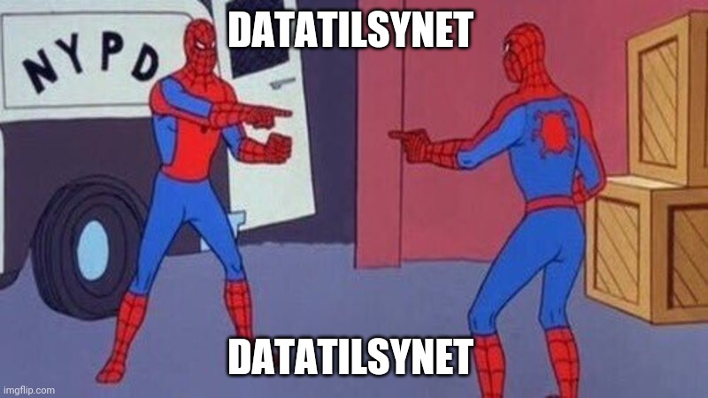 spiderman pointing at spiderman | DATATILSYNET; DATATILSYNET | image tagged in spiderman pointing at spiderman | made w/ Imgflip meme maker