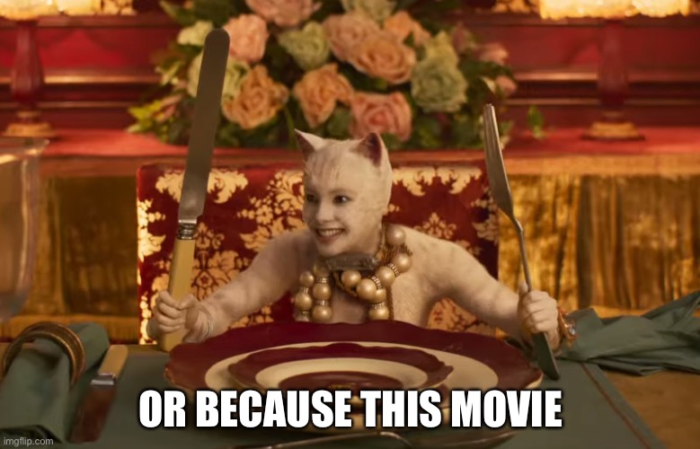 Cats Movie | OR BECAUSE THIS MOVIE | image tagged in cats movie | made w/ Imgflip meme maker