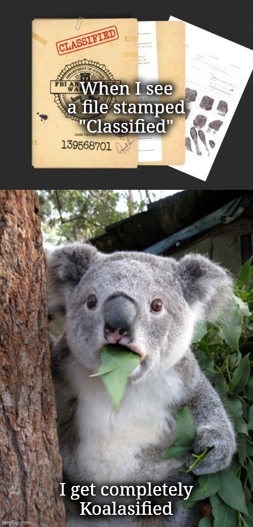 Koalasified | When I see a file stamped "Classified"; I get completely Koalasified | image tagged in memes,surprised koala,classified | made w/ Imgflip meme maker