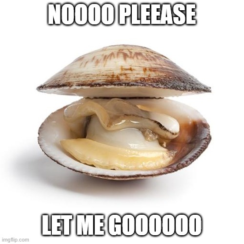clam | NOOOO PLEEASE LET ME GOOOOOO | image tagged in clam | made w/ Imgflip meme maker