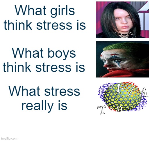 Y = stress / strain | What girls think stress is; What boys think stress is; F / A; What stress really is; T · n | image tagged in science,stress,depression | made w/ Imgflip meme maker