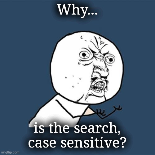 It ,clearly, is never supposed to be | Why... is the search, case sensitive? | image tagged in memes,y u no | made w/ Imgflip meme maker