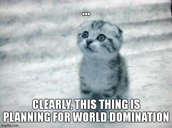 An Innocent Cover | ... CLEARLY, THIS THING IS PLANNING FOR WORLD DOMINATION | image tagged in memes,sad cat,world domination | made w/ Imgflip meme maker