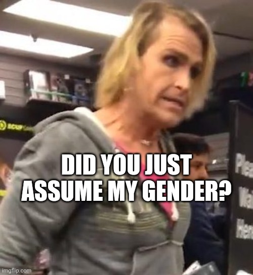 It's ma"am | DID YOU JUST ASSUME MY GENDER? | image tagged in it's ma am | made w/ Imgflip meme maker
