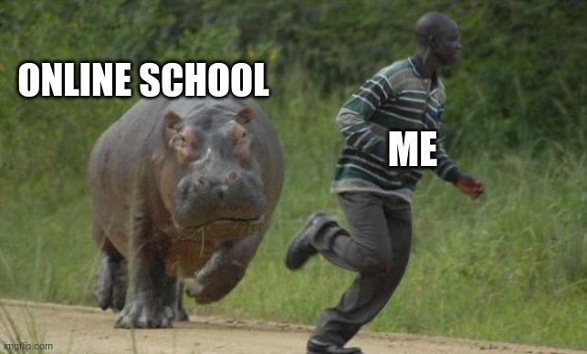 Run | ONLINE SCHOOL; ME | image tagged in hippo chase | made w/ Imgflip meme maker